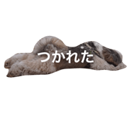21699060
