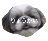 21699069
