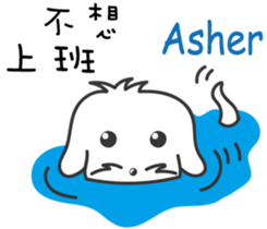 217428072
