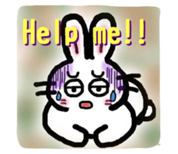 21747549