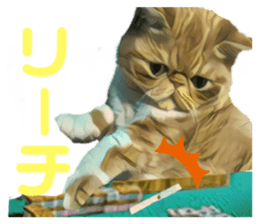 217786466