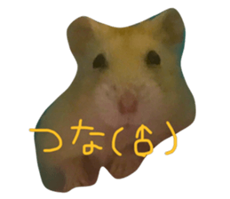 21814464