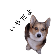 218203118
