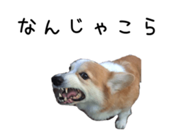218203134