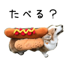 218203135