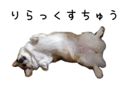 218203140