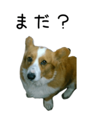 218203146