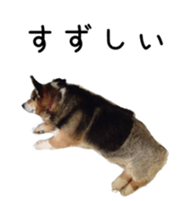 218203149