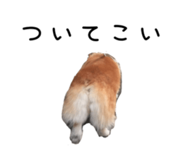 218203155