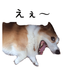 218203156