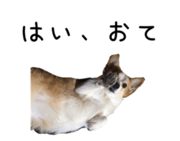 218203157