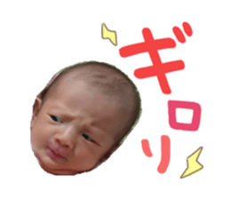 21821640