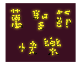 21831977