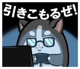 218382300