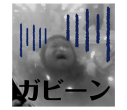 218420532
