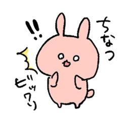 21845116