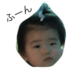 21849084