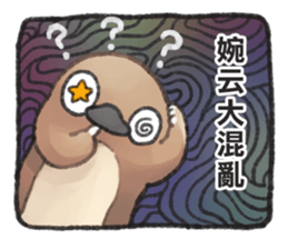 218584093