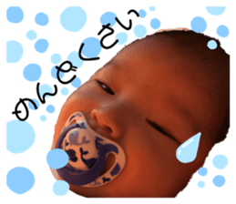 218687961