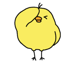 2187553