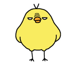 2187555