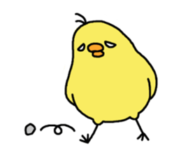 2187556