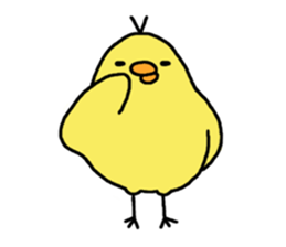 2187560