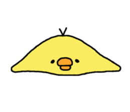 2187562