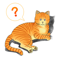 What's Michael? รูปที่ 15
