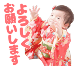 219047307