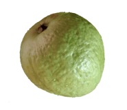 219171617