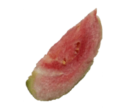 219171618