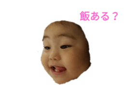219223630