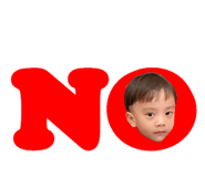 219272993