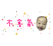 219272997