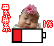 219273012