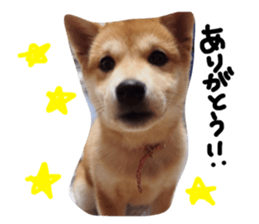 21929917