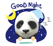 219327384