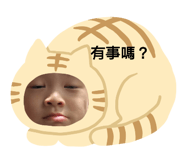 219327385