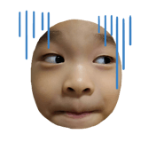 219327387