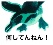 21933819