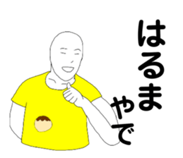 219480812