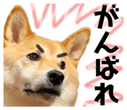 219562193
