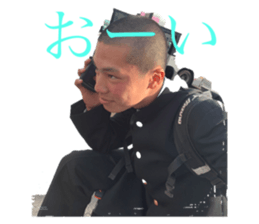 219637598