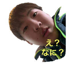 219637599