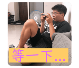 219655732