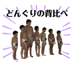 219771764