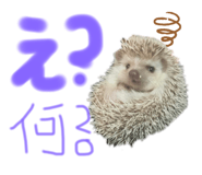 219927886