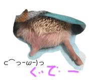 219927887