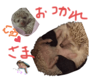 219927890